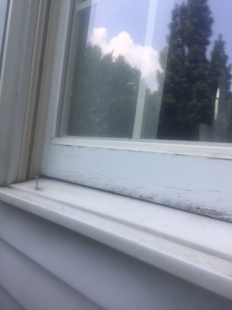 Clean Window Sills, Home in Emmaus